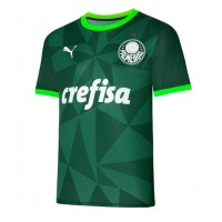 Palmeiras Replica Home Shirt 2023-24 Short Sleeve